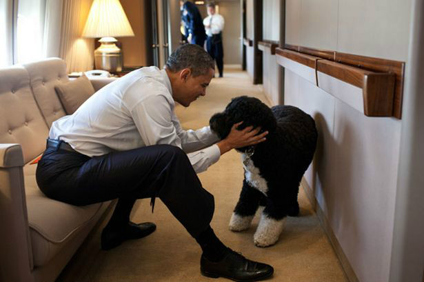 President Barack Obama knuffelt hond