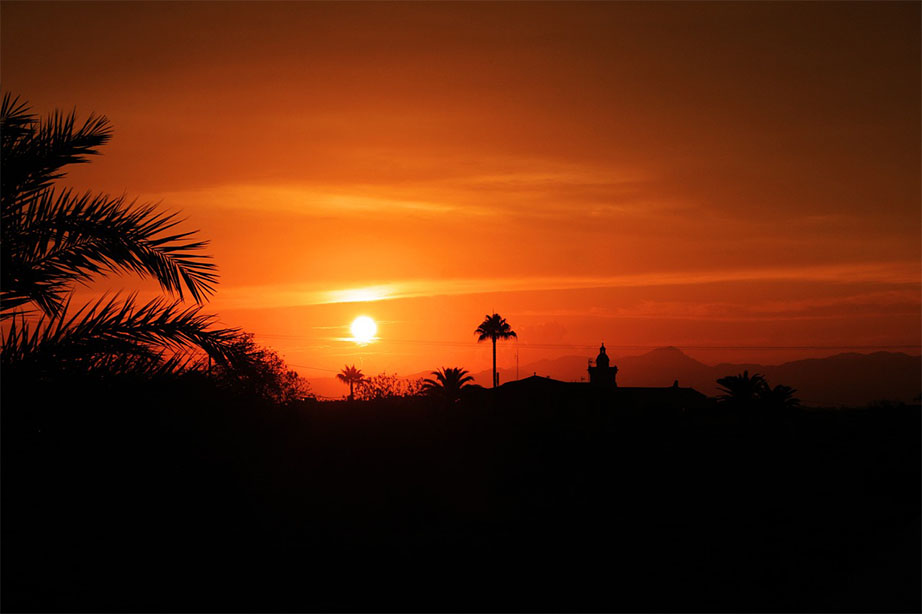 rode lucht ondergaande zon en palmbomen mallorca