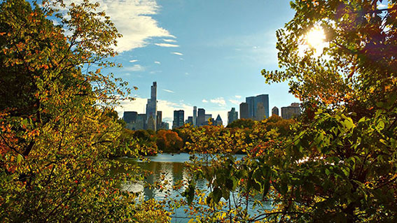 uitzicht op skyline newyork vanuit central park
