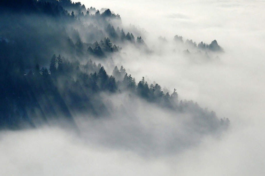 mist uitzicht op bos vanaf hoge berg