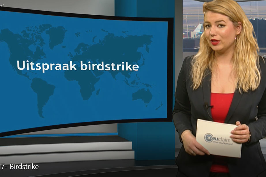 birdstrike-uitspraak-europees-hof