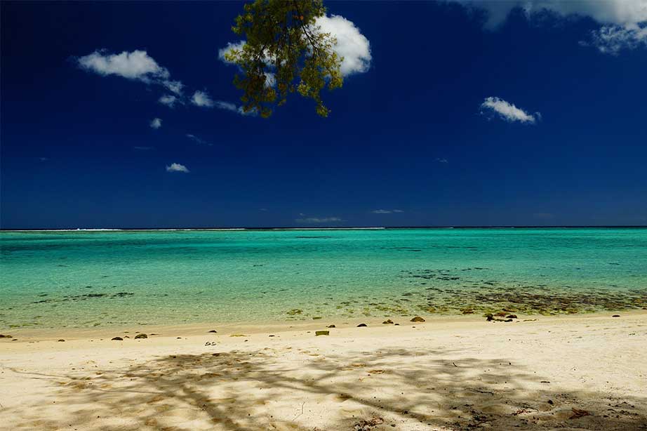 strand zee en blauwe lucht met palmbomen