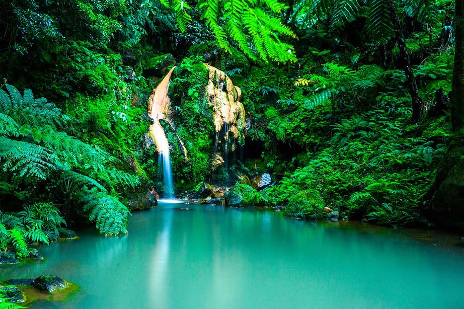 oase met water en groene planten en waterval