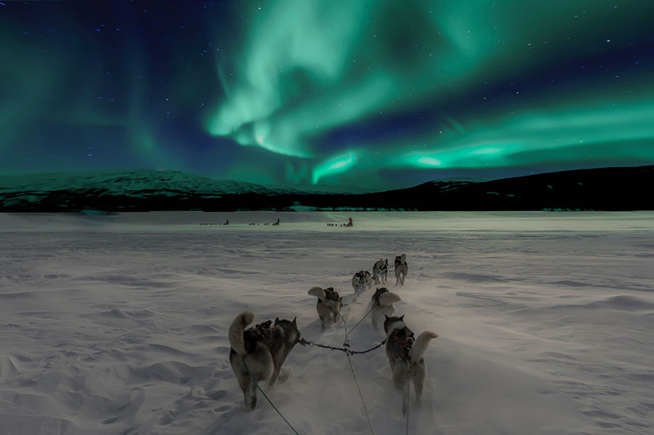 huskihonden trekken slee in sneeuw onder het noorderlicht