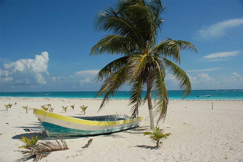 zand met boot zee en palmboom op strand jamaica