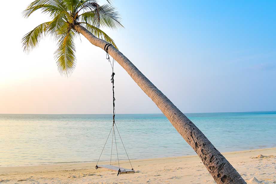 strand met palmboom en schommel bij blauwe lucht