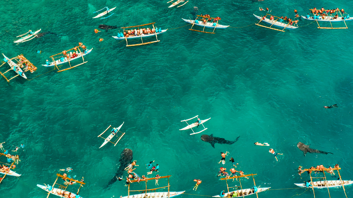 Header cebu 1