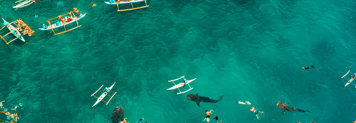 Header cebu 2